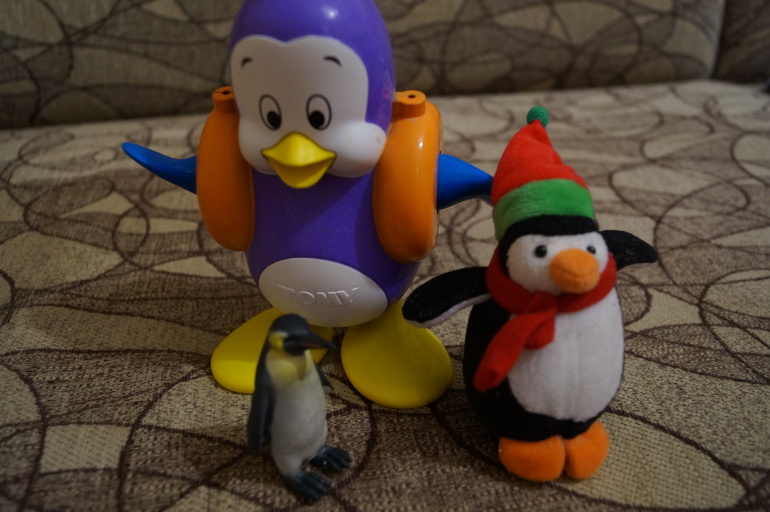 ТН Арктика и Антарктида. Флешмоб. День 2. Антарктида.