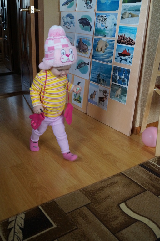 ТН Арктика и Антарктида. Флешмоб. День 2. Антарктида.