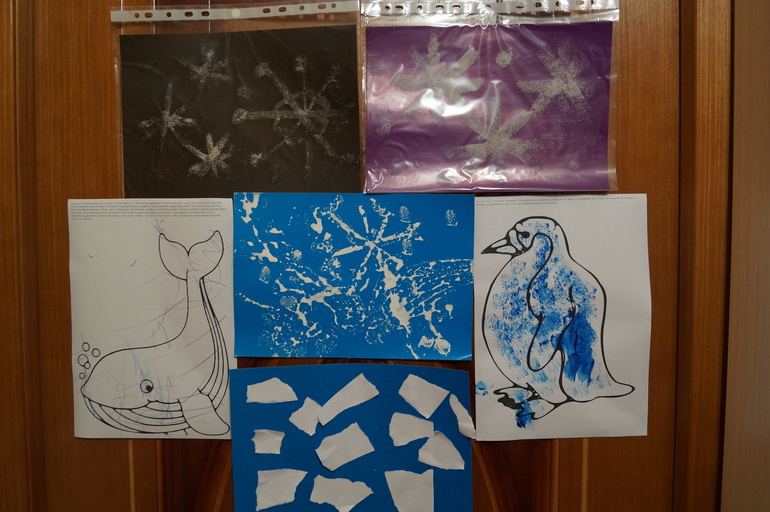 ТН Арктика и Антарктида. Флешмоб. День 2. Антарктида.