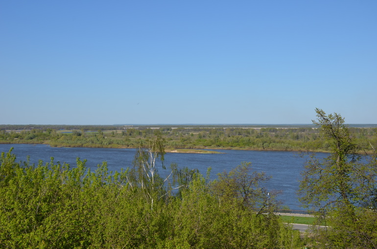 Отдых на родине