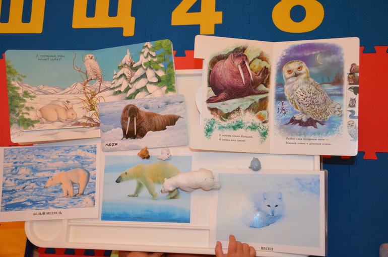 ТН Арктика и Антарктида. День 3.