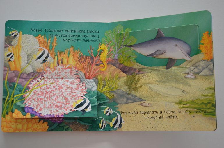 Наши новые книги ( 1 год и 6 месяцев)