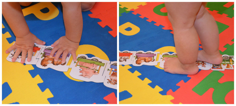 ТН Транспорт