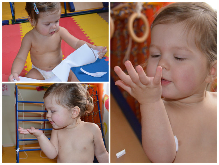 ТН Насекомые. Муха, жуки, кузнечик.