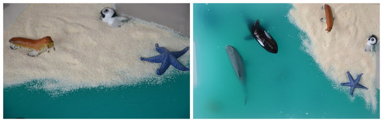 ТН Арктика и Антарктида. День 4.