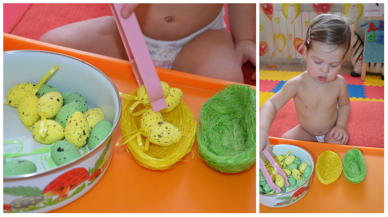 ТН Птицы. Городские.