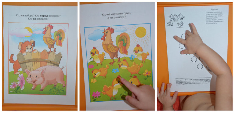 ТН Птицы. Домашние.