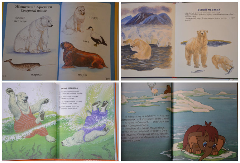 ТН Арктика и Антарктида. День 3.