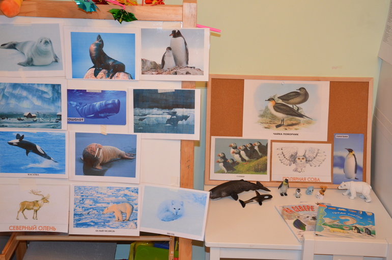 ТН Арктика и Антарктида. День 4.