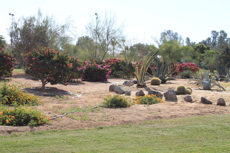 Про наш отдых