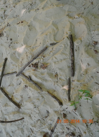 «Сказочные прогулки»