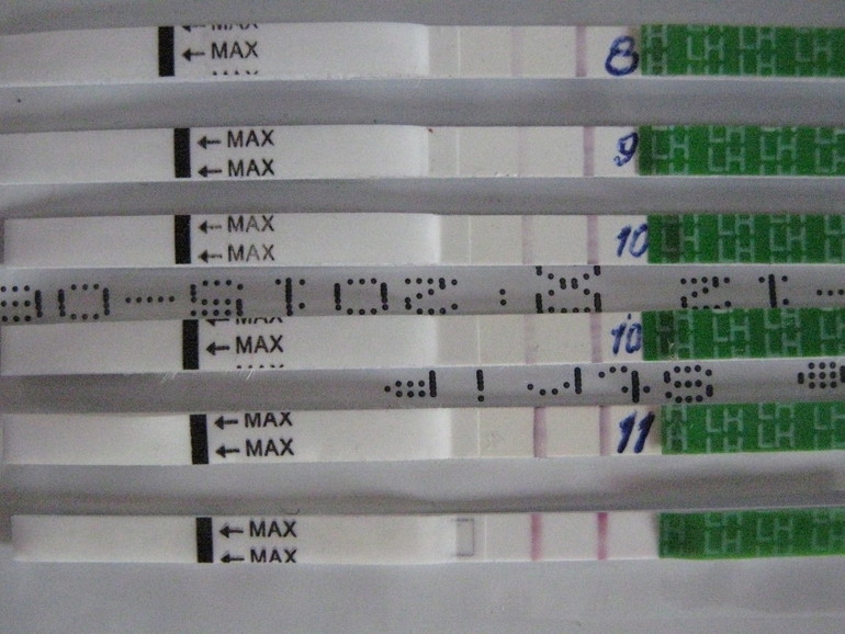 Когда ждать овуляцию?