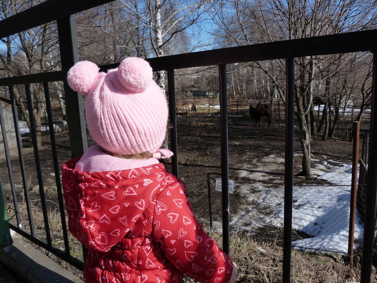 Поездка в Россию. Пенза