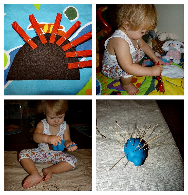 ТН Дикие животные. Ёж