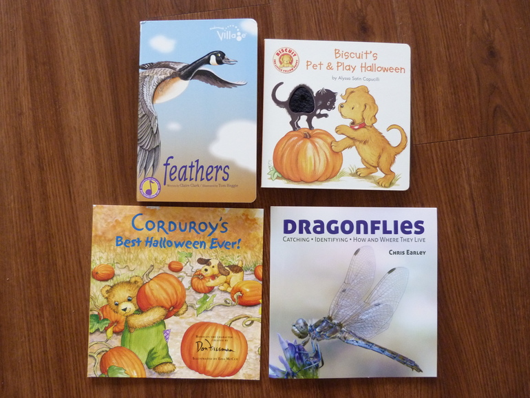 Пополнение библиотеки сентябрь 2