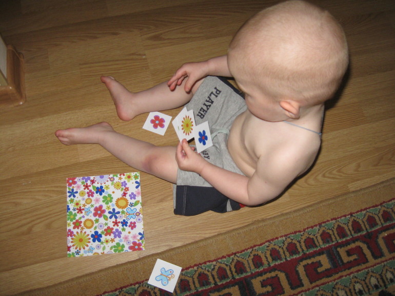 Шичида: Цветное безобразие состоялось