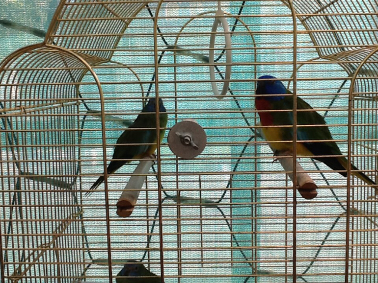 ВВЦ Дом  Бабочек 02.05.2014