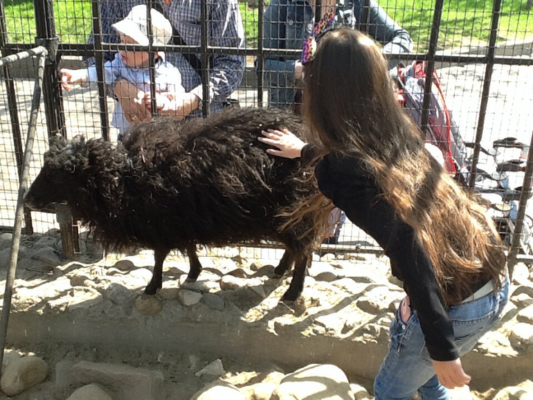 ЗООПАРК продолжение 01.05.2014