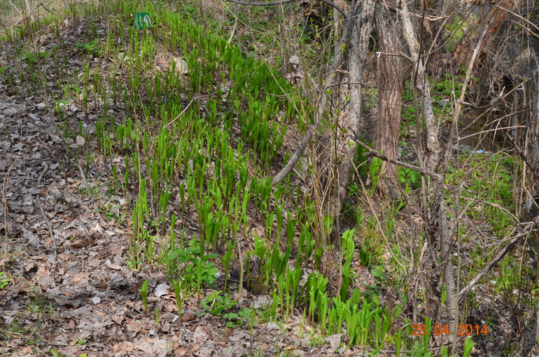 уже скоро...