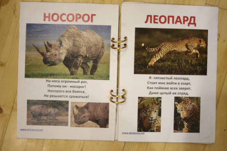 Наши книги в 1 год. Осторожно, Очень много фото!