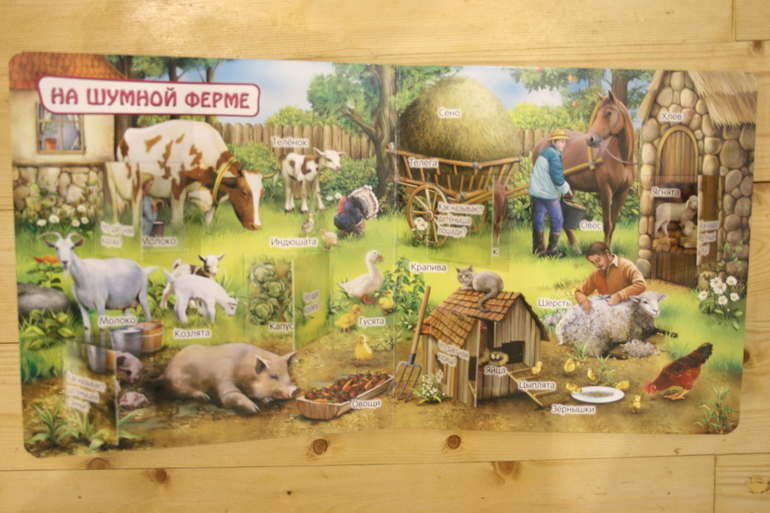 Наши книги в 1 год. Осторожно, Очень много фото!