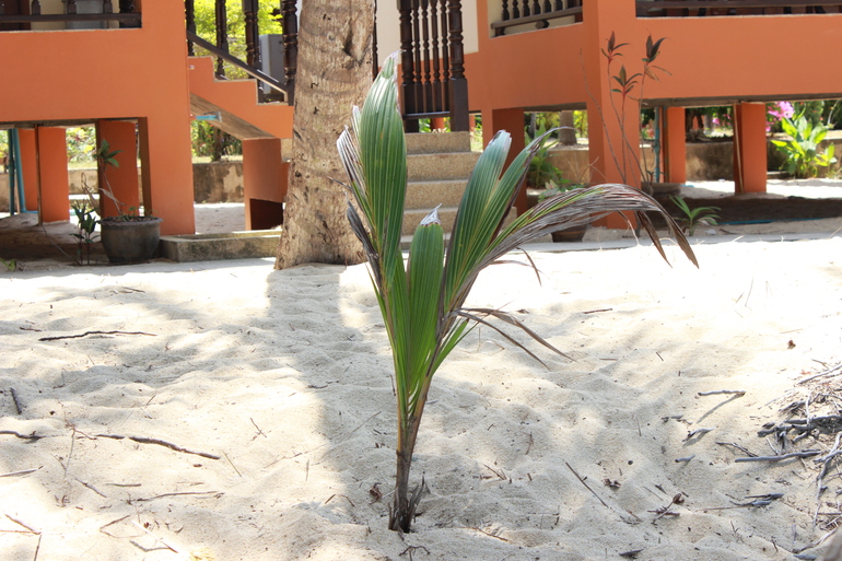 Картинки с отдыха