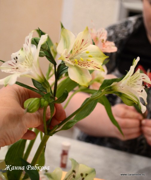 Отчёт с курсов сахарной флористики, преподаватель Жанна Рябкова!