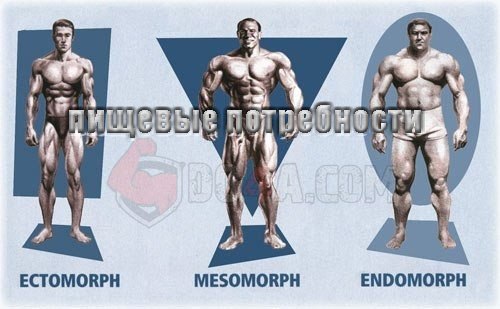 Секреты питания в зависимости от типа телосложения.