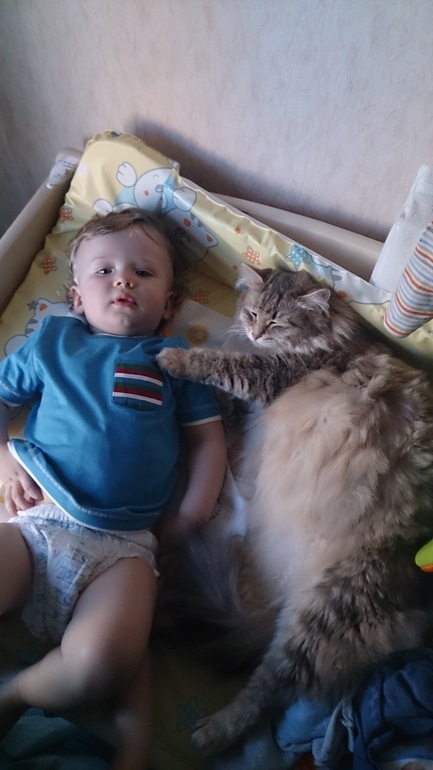 А у нас сегодня кошка родила вчера котят...