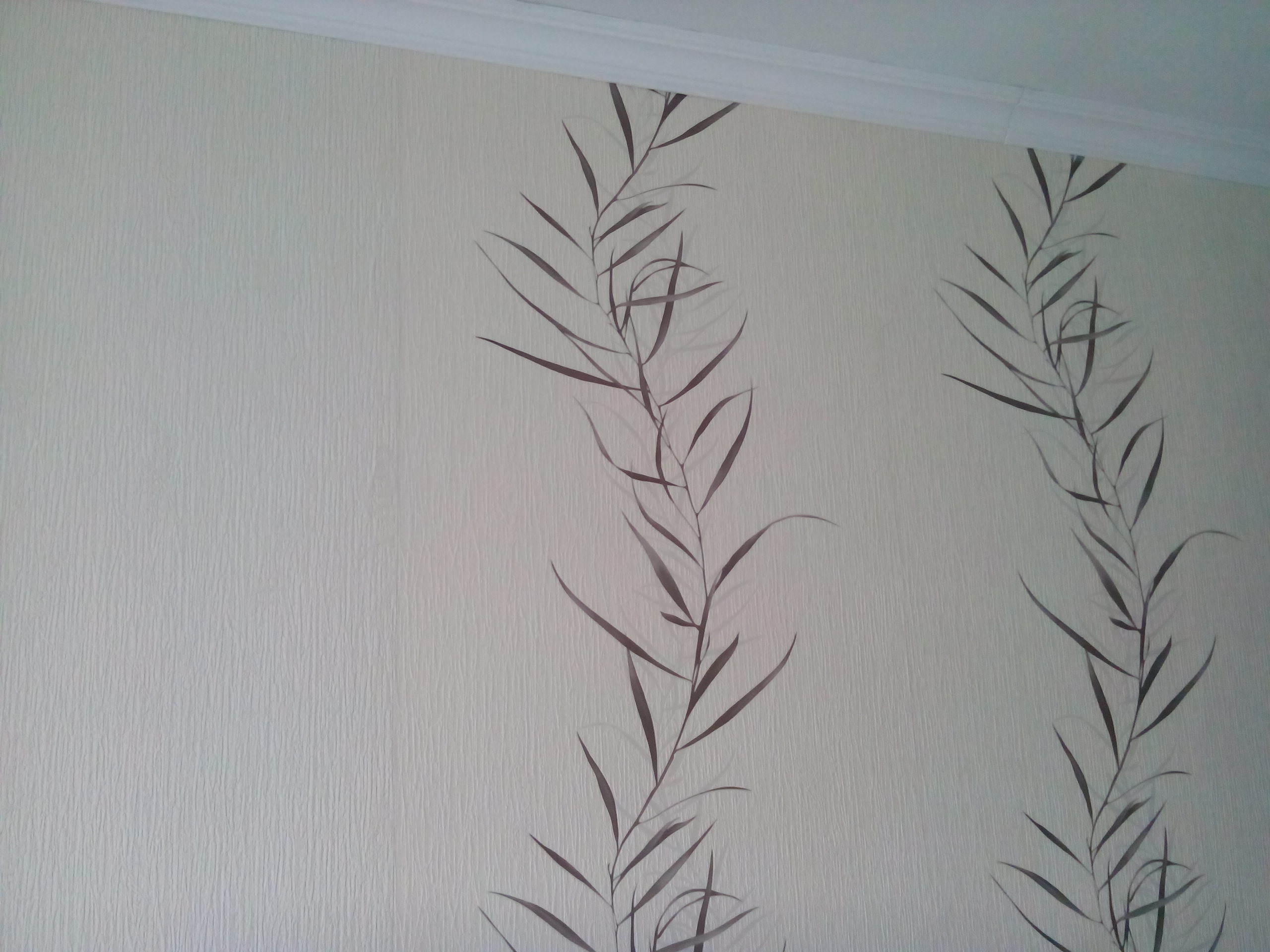 Помогите определиться.