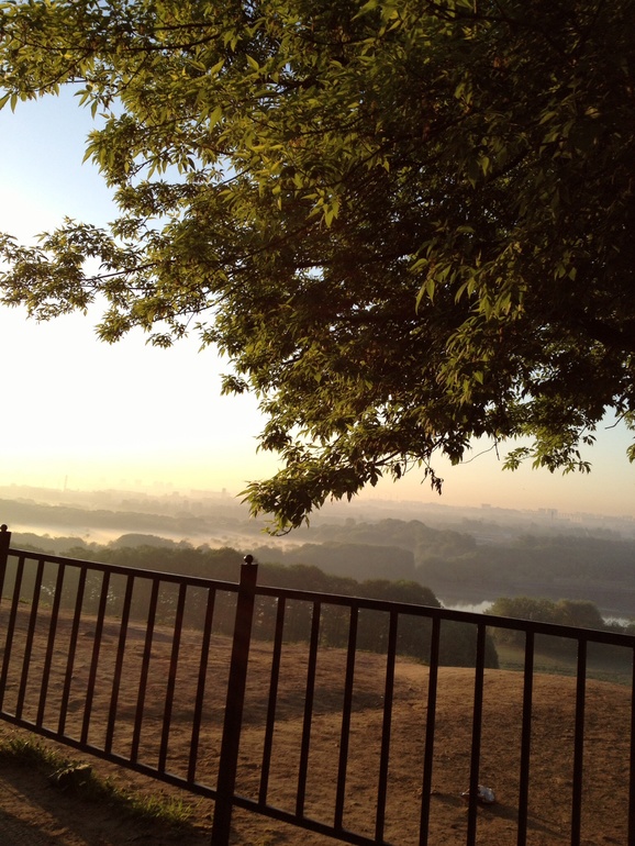 Утренний бег!