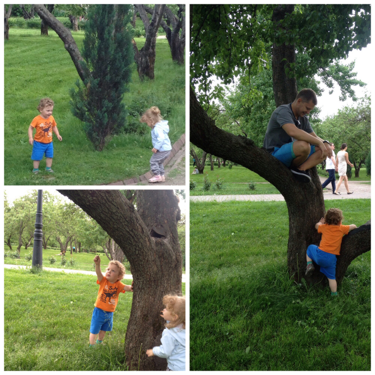 41 день из 100. Воскресенье - день семейный!!