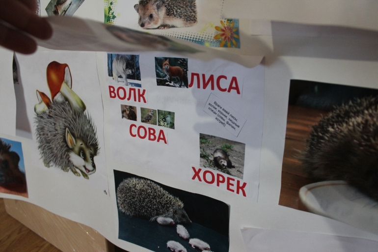 ТД Ежик