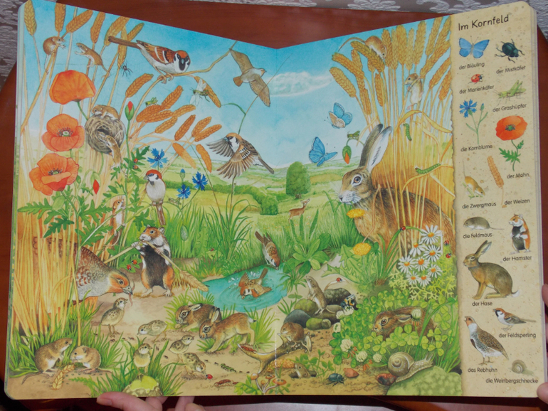 Развороты Mein erstes Wimmelbuch - Feld und Wiese by Christine Henkel