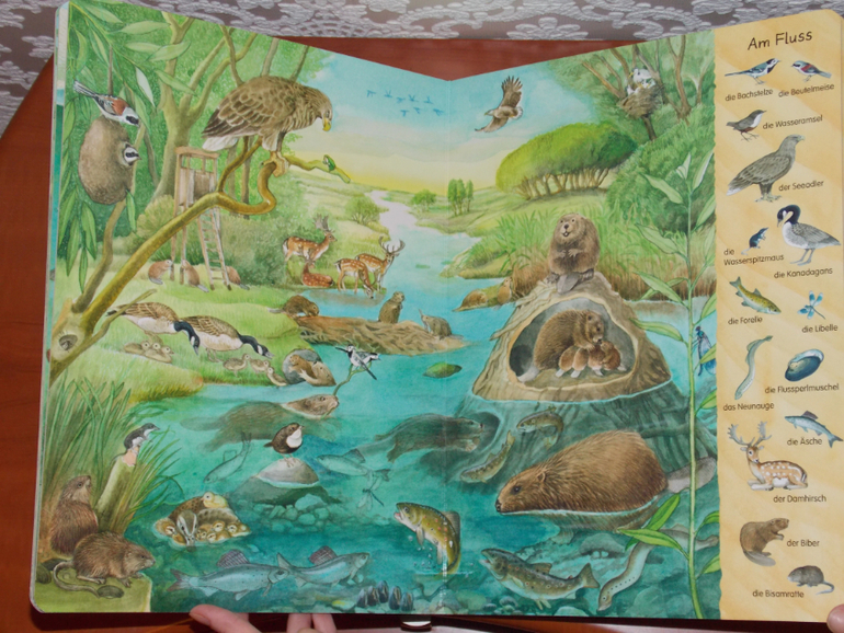 Развороты Mein erstes Wimmelbuch - Bach und Teich by Christine Henkel