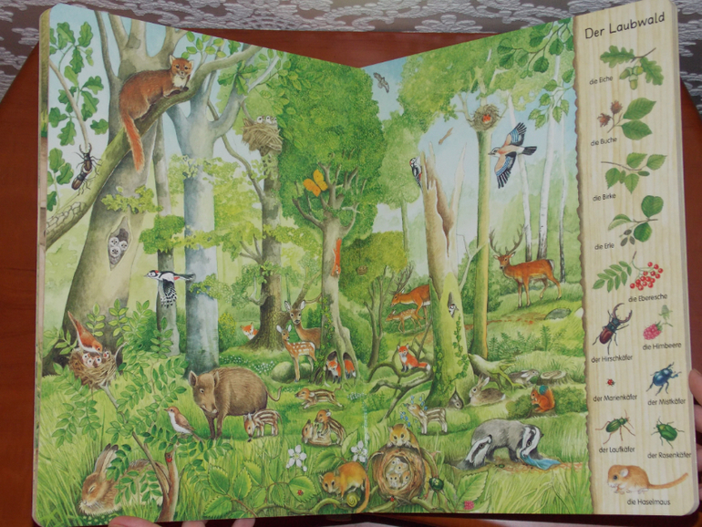 Развороты Mein erstes Wimmelbuch - Im Wald by Christine Henkel