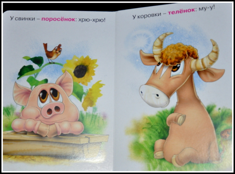 Книгообзор 5