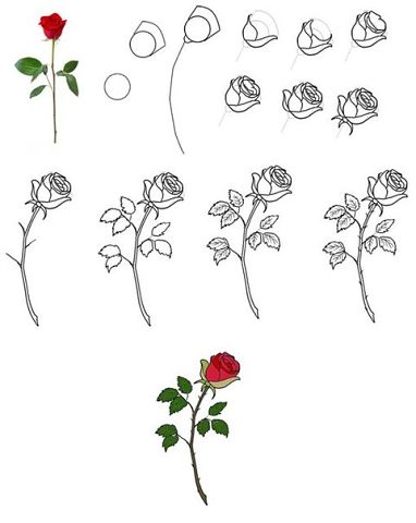 рисуем цветы