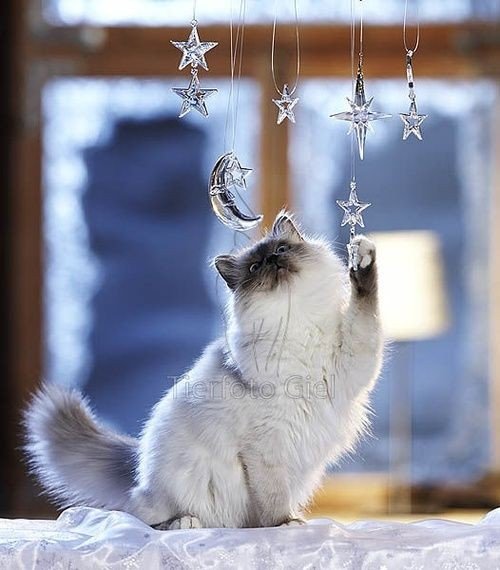 ЧТО БЫ ТЫ ТАК ЖИЛ !