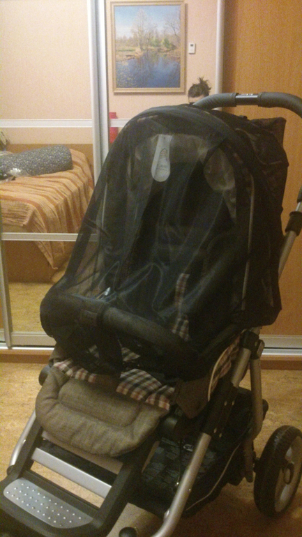 Teutonia Fun System 2 в 1 (цвет 4930). Первые впечатления, фотообзор.