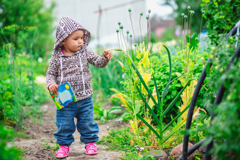 Когда не о чем поговорить, говорю о погоде)