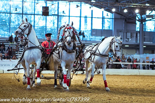 Майские на волне вежливости. Где мы были, как мы жили.