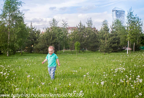 991fe59617336983f878009cdc146bb6.jpg