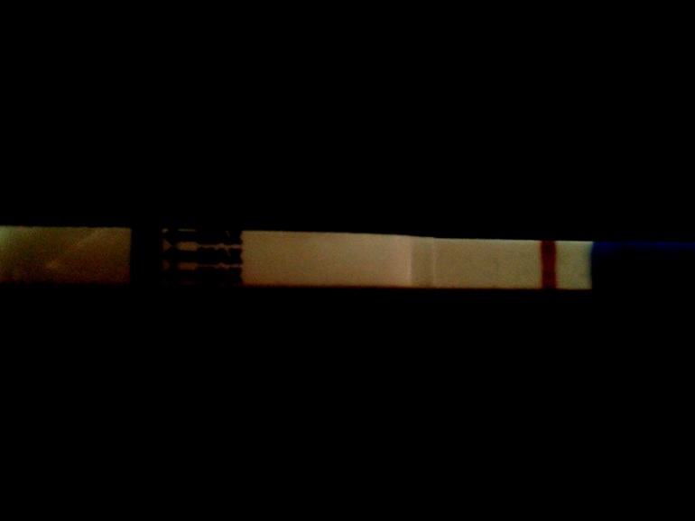 10 дпо тесты...