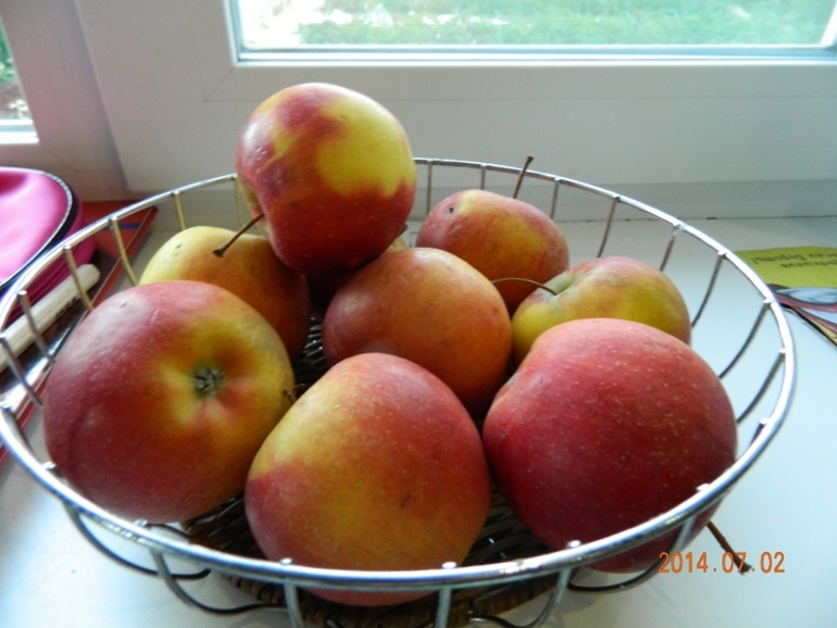 Благодарственный пост! Наш новый небулайзер уже испробован!