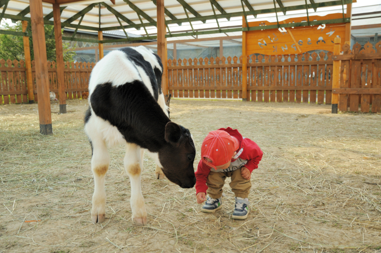 Эзотик парк - впечатления и фото