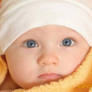 ab3bedc283db2db91e45f8963b191c6d.jpg