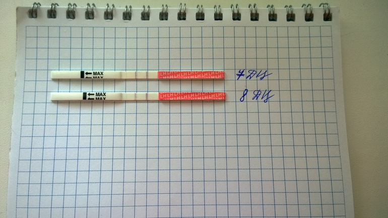 Продолжаю теститься!!! =))