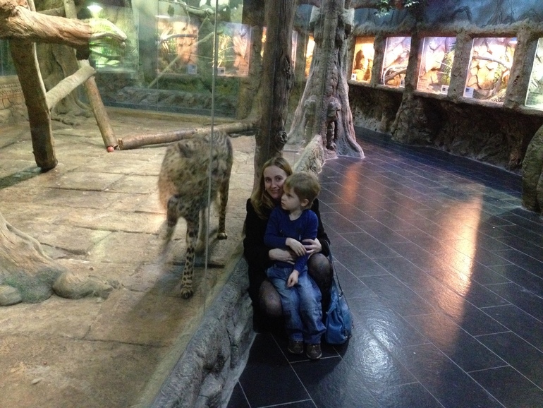 эксерементариум в рио на дмитровке