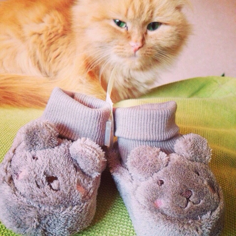 Немного наших покупок))